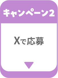 キャンペーン2 Xで応募