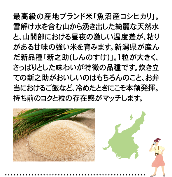 最高級の産地ブランド米「魚沼産コシヒカリ」。雪解け水を含む山から湧き出した綺麗な天然水と、山間部における昼夜の激しい温度差が、粘りがある甘味の強い米を育みます。新潟県が産んだ新品種「新之助(しんのすけ)」。1粒が大きく、さっぱりとした味わいが特徴の品種です。炊き立ての新之助がおいしいのはもちろんのこと、お弁当におけるご飯など、冷めたときにこそ本領発揮。持ち前のコクと粒の存在感がマッチします。
